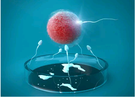 安顺供卵试管助孕代怀生孩子机构