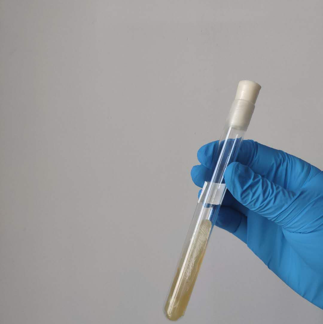 济南供卵助孕：试管婴儿费用解析与成功率影响因素